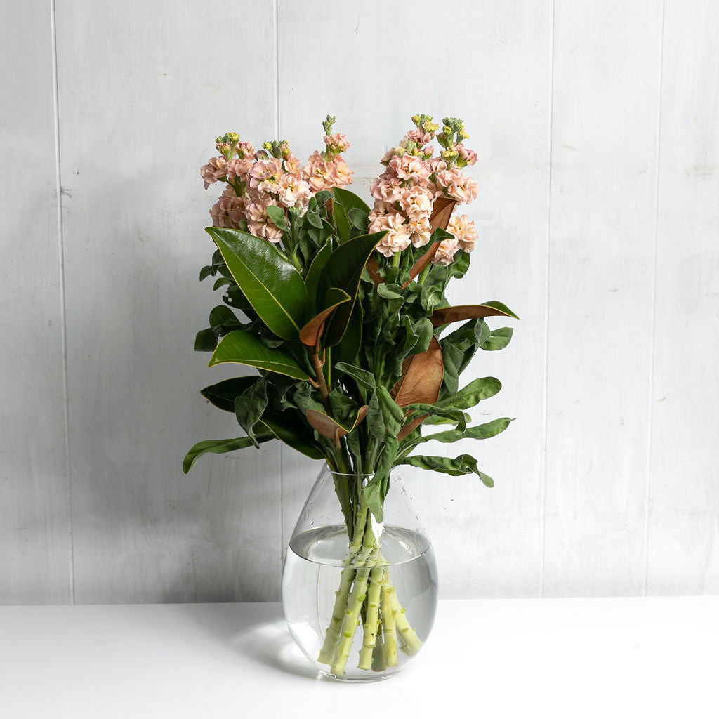 Seasonal Flower Wrap Flowers West Perth Flowers Delivery Perth