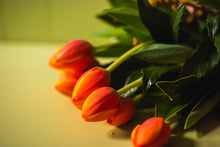 Load image into Gallery viewer, Fresh Local Tulips
