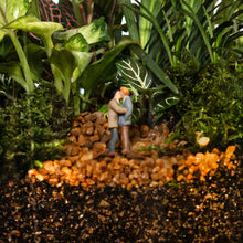 Load image into Gallery viewer, Medium Terrarium