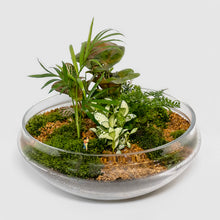 Load image into Gallery viewer, Large Terrarium