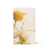 Load image into Gallery viewer, Salus Hand &amp; Lip Replenishing Trio
