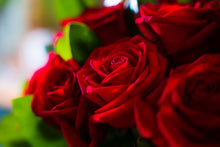 Load image into Gallery viewer, Red Rose Bouquet (12 stem)
